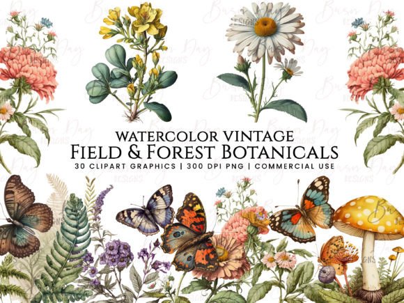 Download Field &amp; Forest Vintage Botanical Clipart - Vintage Collection