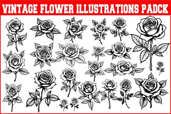 Download Vintage Flower Illustrations Pack - Vintage Collection