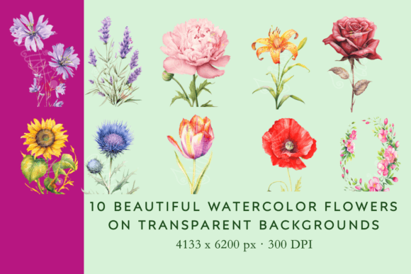 Download Vintage Watercolor Flower Illustrations - Vintage Collection